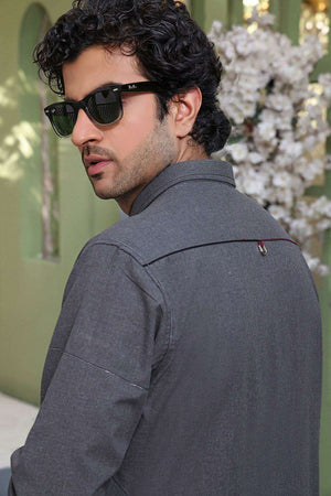 Malaysian-Grey-8